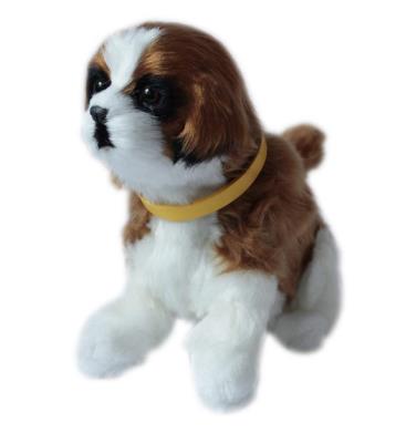 Opakowanie Interaktywny piesek - Bernardyn