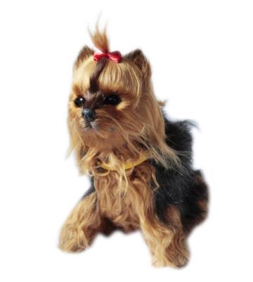 Opakowanie Interaktywny piesek - York