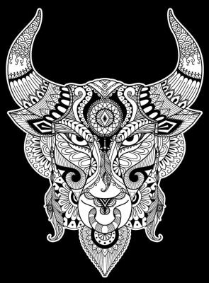 Opakowanie Kolorowanka Welwetowa 47x35 Byk