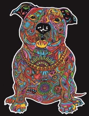 Opakowanie Kolorowanka Welwetowa 47x35 Pies Spike