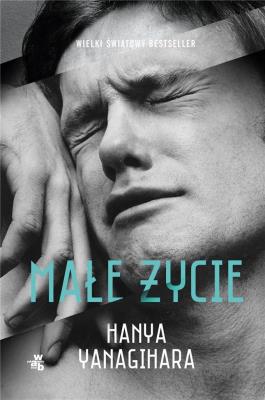 Małe życie. Autor: Hanya Yanagihara, Kozak Jolanta. SmakLiter.pl Okładka książki Małe życie