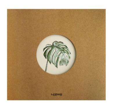 Opakowanie Notes B5/80K eko Monstera