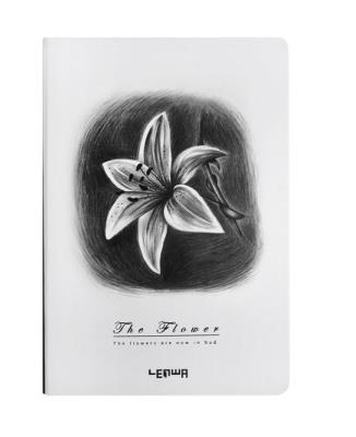 Opakowanie Notes B6/96K Lilia