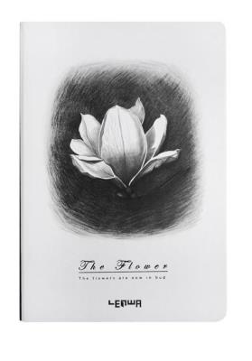 Opakowanie Notes B6/96K Magnolia