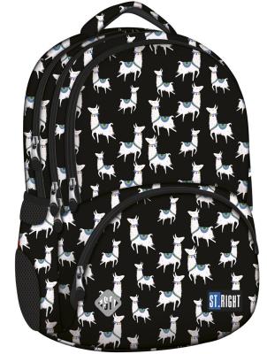 Opakowanie Plecak 4-komorowy Lamy