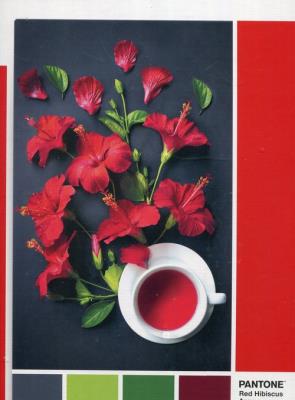 Opakowanie Puzzle 1000 Pantone Red Hibiscus Aroma
