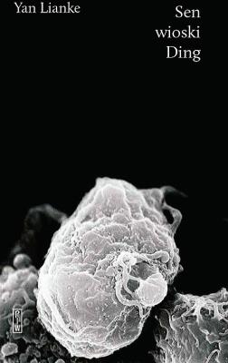 SEN WIOSKI DING. Autor: YAN LIANKE. SmakLiter.pl Okładka książki SEN WIOSKI DING