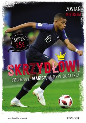 Okładka książki Skrzydłowi. Technicy, magicy, indywidualiści