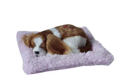 Opakowanie Śpiący piesek na poduszce - Spaniel