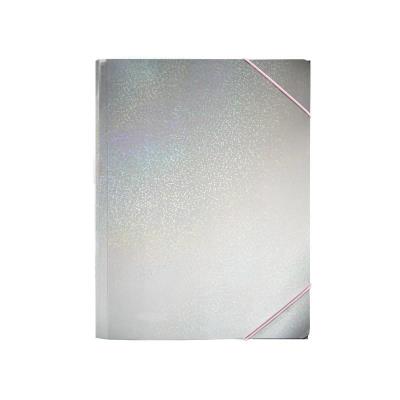 Opakowanie Teczka A4 srebrna Rainbow Squad