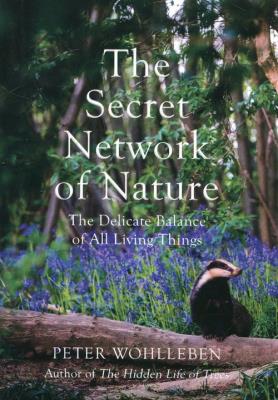 The Secret Network of Nature. Autor: Wohlleben Peter. SmakLiter.pl Okładka książki The Secret Network of Nature