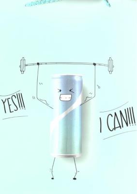 Opakowanie Torba prezentowa TCR-2 MIX AVANTI