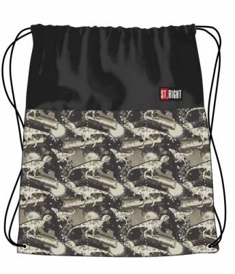 Opakowanie Worek na obuwie Dinozaury