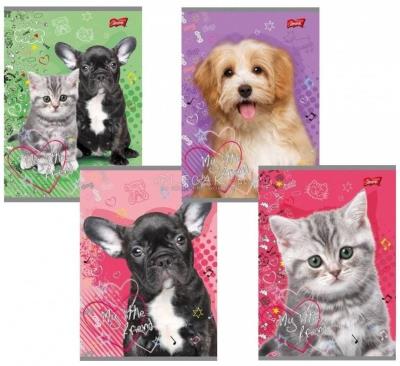 Opakowanie Zeszyt A5/32= linia podwójna dwukolorowa laminowany My Little Friend