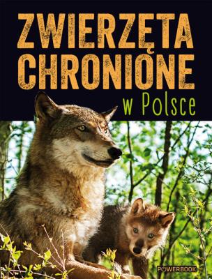 Zwierzęta chronione w Polsce. Autor: Opracowanie zbiorowe. SmakLiter.pl Okładka książki Zwierzęta chronione w Polsce