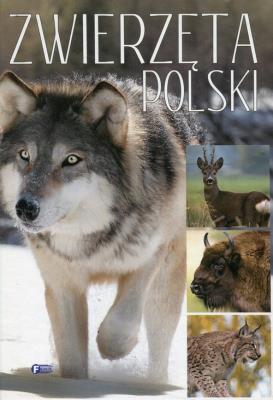 Zwierzęta Polski. Wydawca: Fenix. SmakLiter.pl Opakowanie Zwierzęta Polski