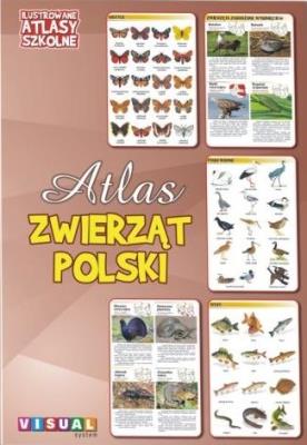 Ilustrowany atlas szkolny. Atlas zwierząt Polski. Autor:   Praca zbiorowa. SmakLiter.pl Okładka książki Ilustrowany atlas szkolny. Atlas zwierząt Polski