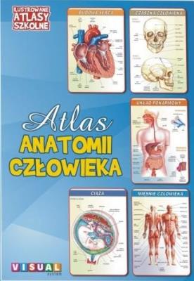 Ilustrowany atlas szkolny.Atlas anatomii człowieka. Autor:   Praca zbiorowa. SmakLiter.pl Okładka książki Ilustrowany atlas szkolny.Atlas anatomii człowieka