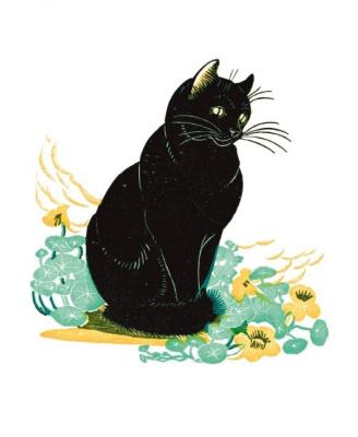 Opakowanie Karnet 17x14cm z kopertą Lucky Cat