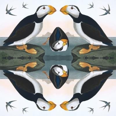 Opakowanie Karnet kwadrat z kopertą Horned Puffin