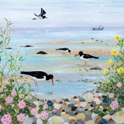 Opakowanie Karnet kwadrat z kopertą Oystercatchers