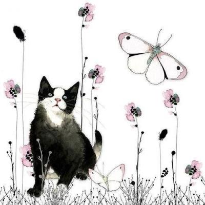 Opakowanie Karnet Swarovski kwadrat CL1202 Kot i motyl