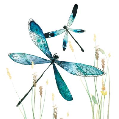 Opakowanie Karnet Swarovski kwadrat CL1232 Ważki