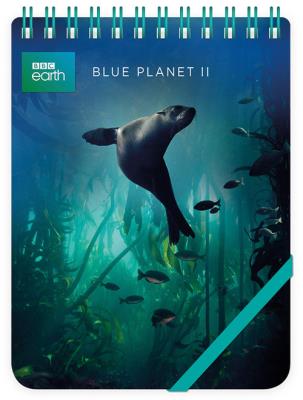 Opakowanie Kołonotes ozdobny Galapagos Sea Lion