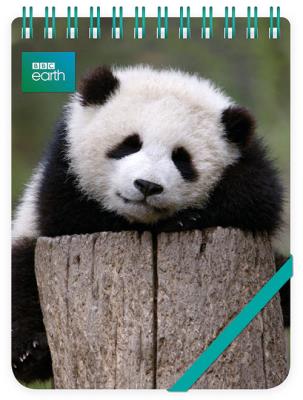 Opakowanie Kołonotes ozdobny Giant Panda Baby