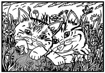 Opakowanie Kolorowanka Welwetowa 29,7x21 Koty