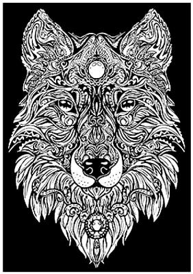 Opakowanie Kolorowanka Welwetowa 29,7x21 Lupus