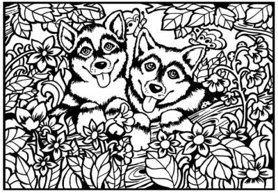 Opakowanie Kolorowanka Welwetowa 29,7x21 Pieski