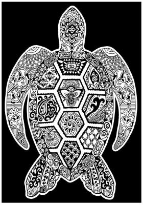 Opakowanie Kolorowanka Welwetowa 29,7x21 Żółw morski