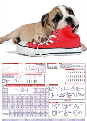 Opakowanie Mata mała dwustronna na biurko Piesek