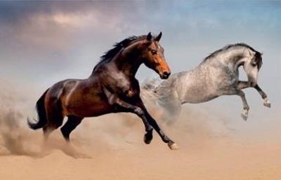 Opakowanie Mata na biurko z nadrukiem Konie