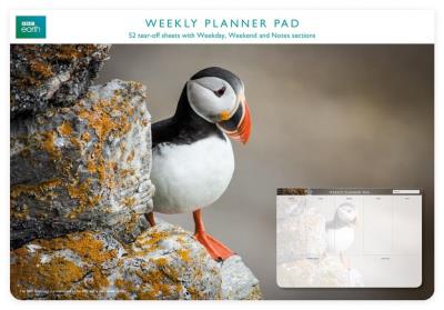 Opakowanie Planer tygodniowy Puffin