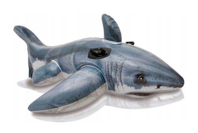 Opakowanie Pływający rekin