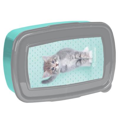 Opakowanie Śniadaniówka Rachael Hale RLC-3022 PASO