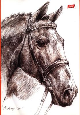 Opakowanie Szkicownik A4 20k Konie