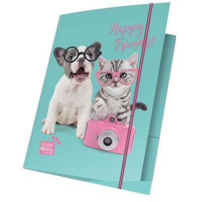 Opakowanie Teczka z gumką A4 błękitno-różowa Happy Friends 15 sztuk