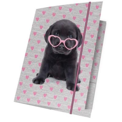 Opakowanie Teczka z gumką A4 Studio Pets 15 sztuk