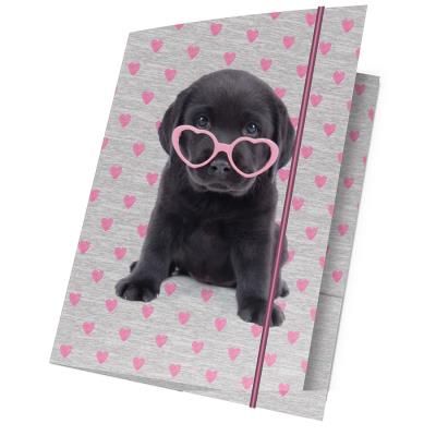 Opakowanie Teczka z gumką A4 Studio Pets PTB-109 PASO