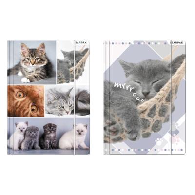 Opakowanie Teczka z gumką  A4 Kotki 10 sztuk