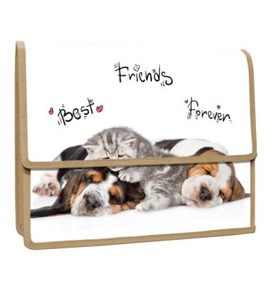 Opakowanie Teczka z klapką na rzepy A4 PP Animals