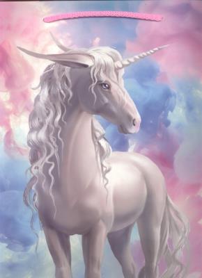 Opakowanie Torebka prezentowa M 12 sztuk mix