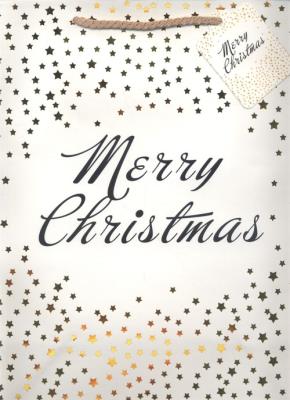 Opakowanie Torebka prezentowa świąteczna M 12 sztuk mix