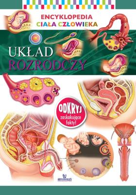 UKŁAD ROZRODCZY ENCYKLOPEDIA CIAŁA CZŁOWIEKA. Autor: Opracowanie zbiorowe. SmakLiter.pl Okładka książki UKŁAD ROZRODCZY ENCYKLOPEDIA CIAŁA CZŁOWIEKA