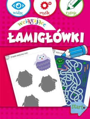 Okładka książki Widzę, myślę, rysuję. Wciągające łamigłówki
