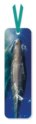 Opakowanie Zakładka do książki Sperm Whale