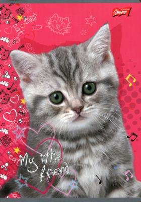 Opakowanie Zeszyt A5 Unipap 32 kartki w dwukolorową linię My little friend 15 sztuk